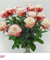 Belo krasnyie rozyi Perm 1 200x240 - Доставка цветов Пермь от компании «Свежие розы»