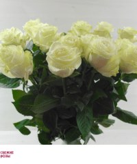 Belyie rozyi Perm 1 200x240 - Доставка цветов Пермь от компании «Свежие розы»