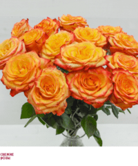 Krasno zhyoltyie rozyi Perm 1 200x240 - Доставка цветов Пермь от компании «Свежие розы»