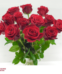 Krasnyie rozyi Perm 1 200x240 - Доставка цветов Пермь от компании «Свежие розы»