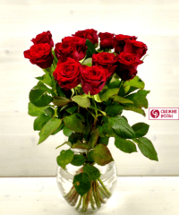 IMG 2017 04 18 112321 HDR 200x240 - Красная роза (Россия), высота 60-70 см.