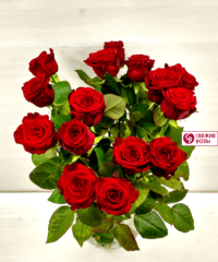 IMG 2017 04 18 112407 HDR 200x240 - Красная роза (Россия), высота 60-70 см.