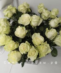 buket belyih roz perm 200x240 - Белые розы (Эквадор), сорт "Мондиаль"
