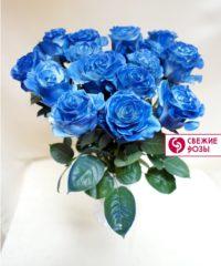 sinie rozyi 15 200x240 - Синие розы в Перми (Эквадор)