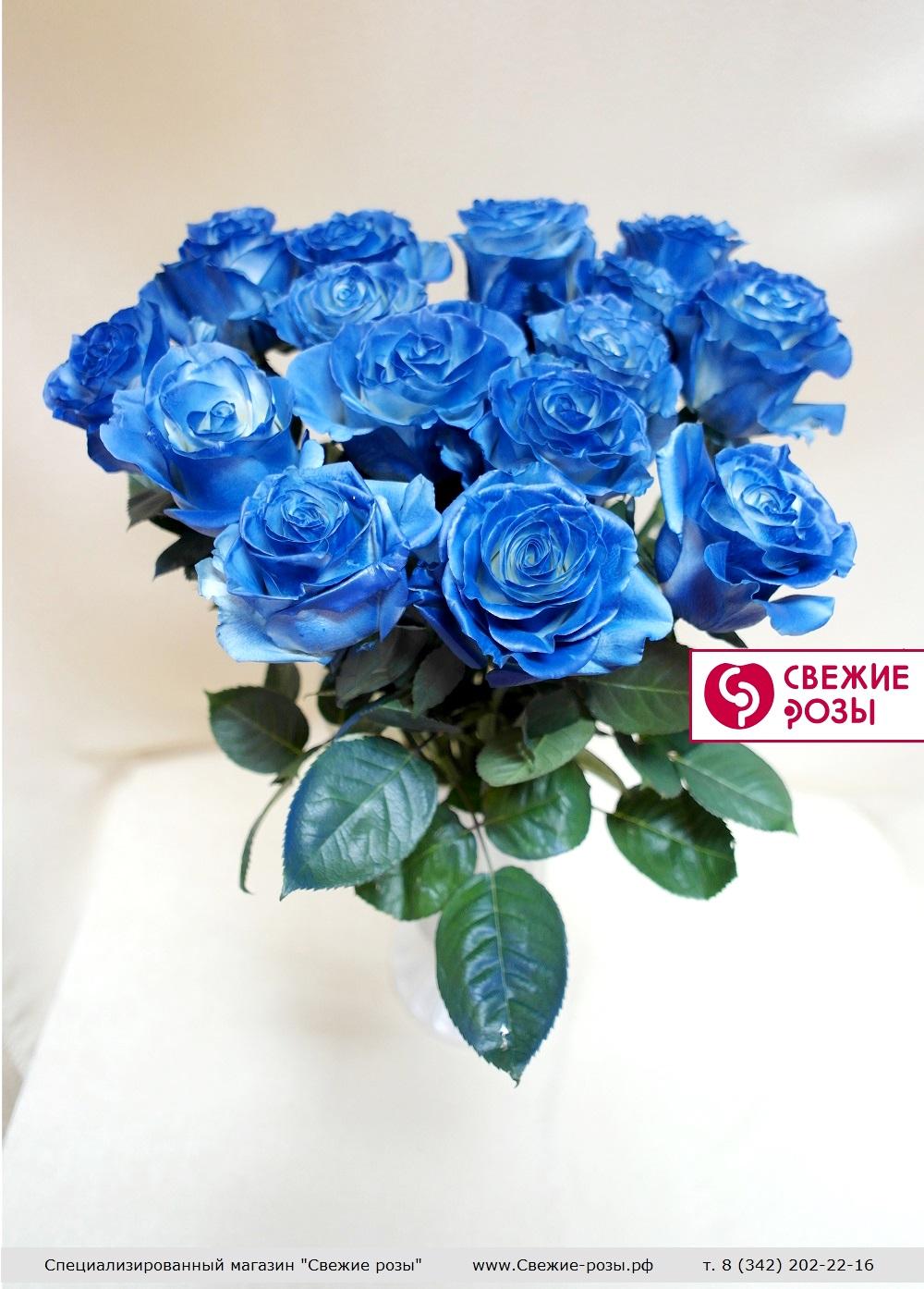 Свежие розы Пермь sinie rozyi 15