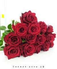 tsvetyi rozyi dostavka perm 200x240 - Красные розы (Эквадор), сорт "Эксплорер"