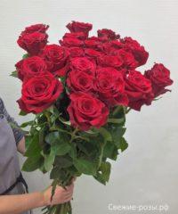 LRM EXPORT 186070272053862 20181203 012241516 200x240 - Букет из 27 красных роз (Эквадор), высота 90 см.