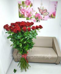 HggjVy79PPg 200x240 - Длинные высокие розы, сорт "Эксплорер" в Перми