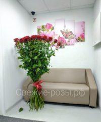 QAvRaj7LUN8 200x240 - Длинные высокие розы, сорт "Эксплорер" в Перми
