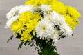 хризантема кустовая