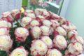 35 роз «Свитнесс» (Эквадор)