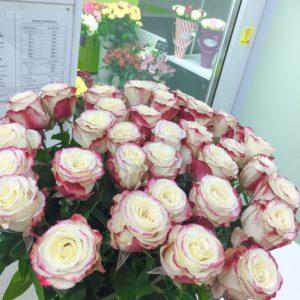 LRM EXPORT 185685180193800 20181203 011616425 300x300 - Букет из 35 роз "Свитнесс" (Эквадор)