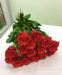 LRM EXPORT 39252173051795 20181125 113734986 200x240 - Ярко-алые розы (Эквадор), сорт "Нина"