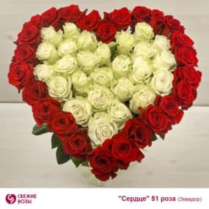 Букет Сердце 51 роза (Эквадор)