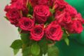 Букет из 25 красных роз (Кения)