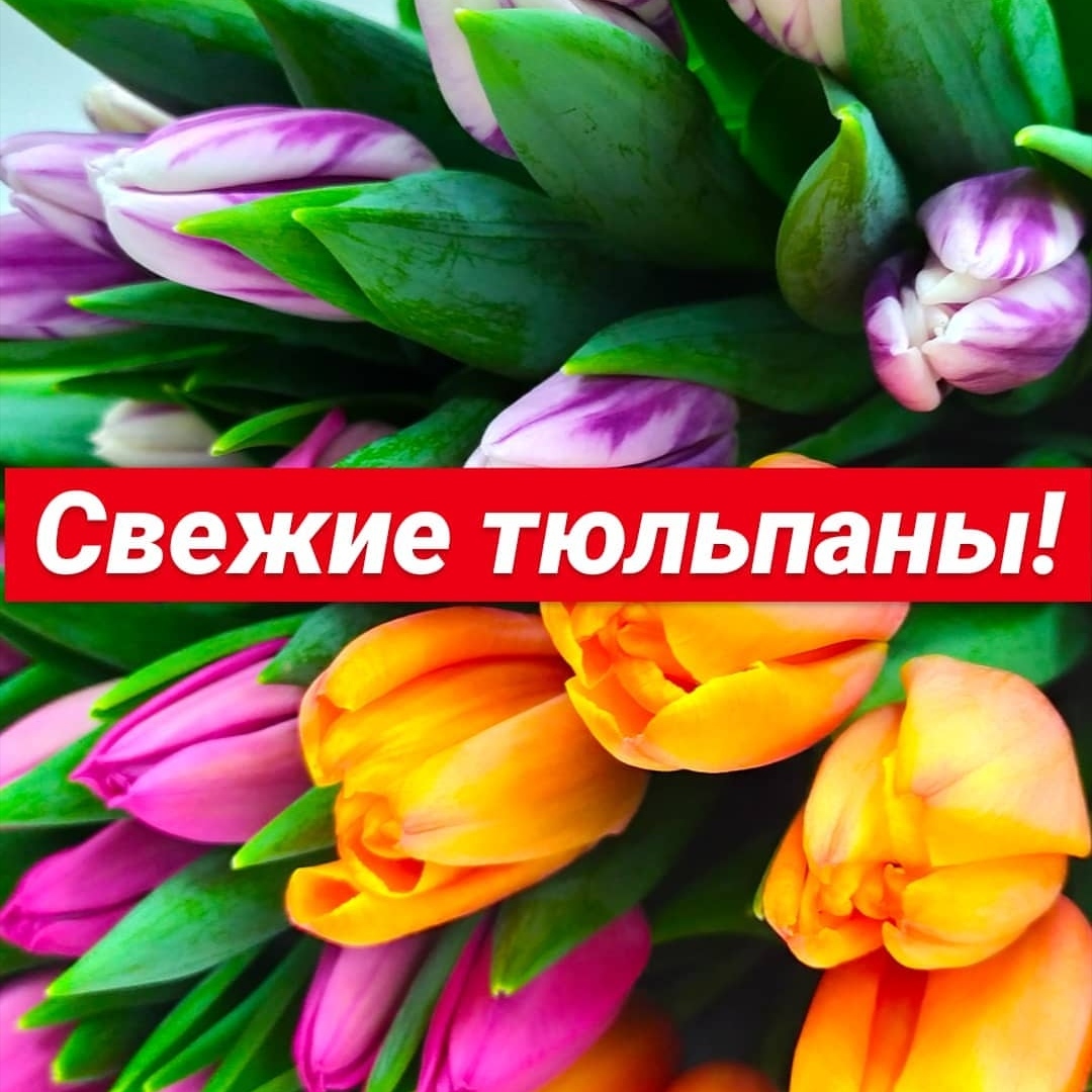тюльпаны пермь оптом на 8 марта
