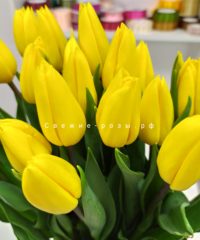 img 20200228 151359 200x240 - Свежие тюльпаны в Перми