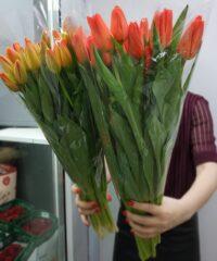 img 20220302 200430 200x240 - Свежие тюльпаны в Перми