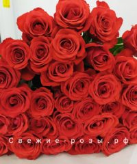 Свежие розы Пермь img 20200406 013130