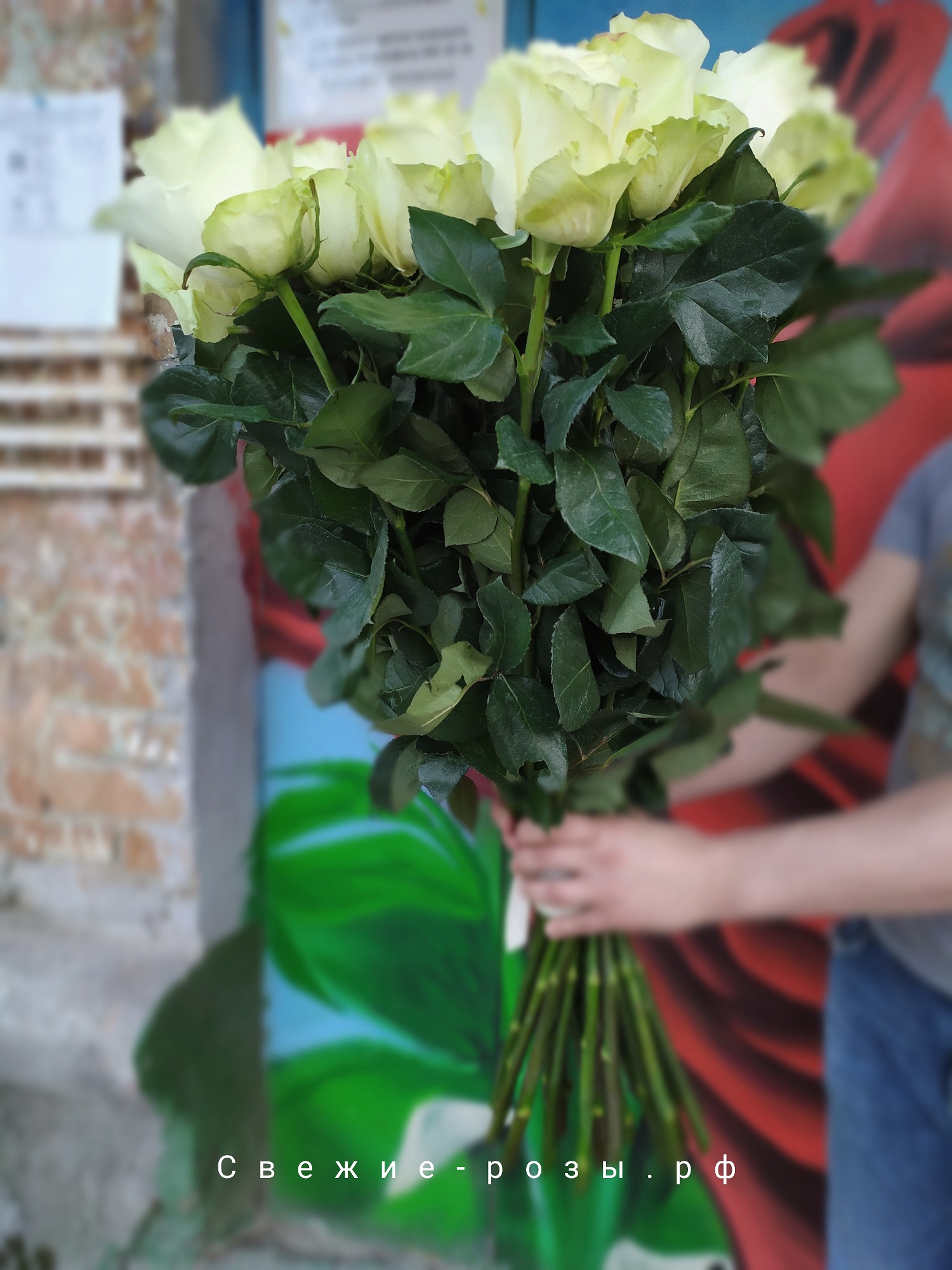 Свежие розы Пермь dostavka rozyi perm belyie mondial