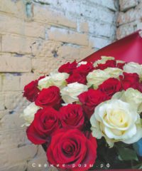 img 20200522 001108 200x240 - Букет из 45 красных и белых роз (Эквадор) с оформлением