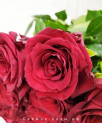 Свежие розы Пермь krasnyie rozyi kupit v permi