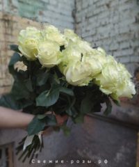 kupit buket belyih roz dostavka perm 200x240 - 25 белых роз Мондиаль / Mondial (Эквадор)