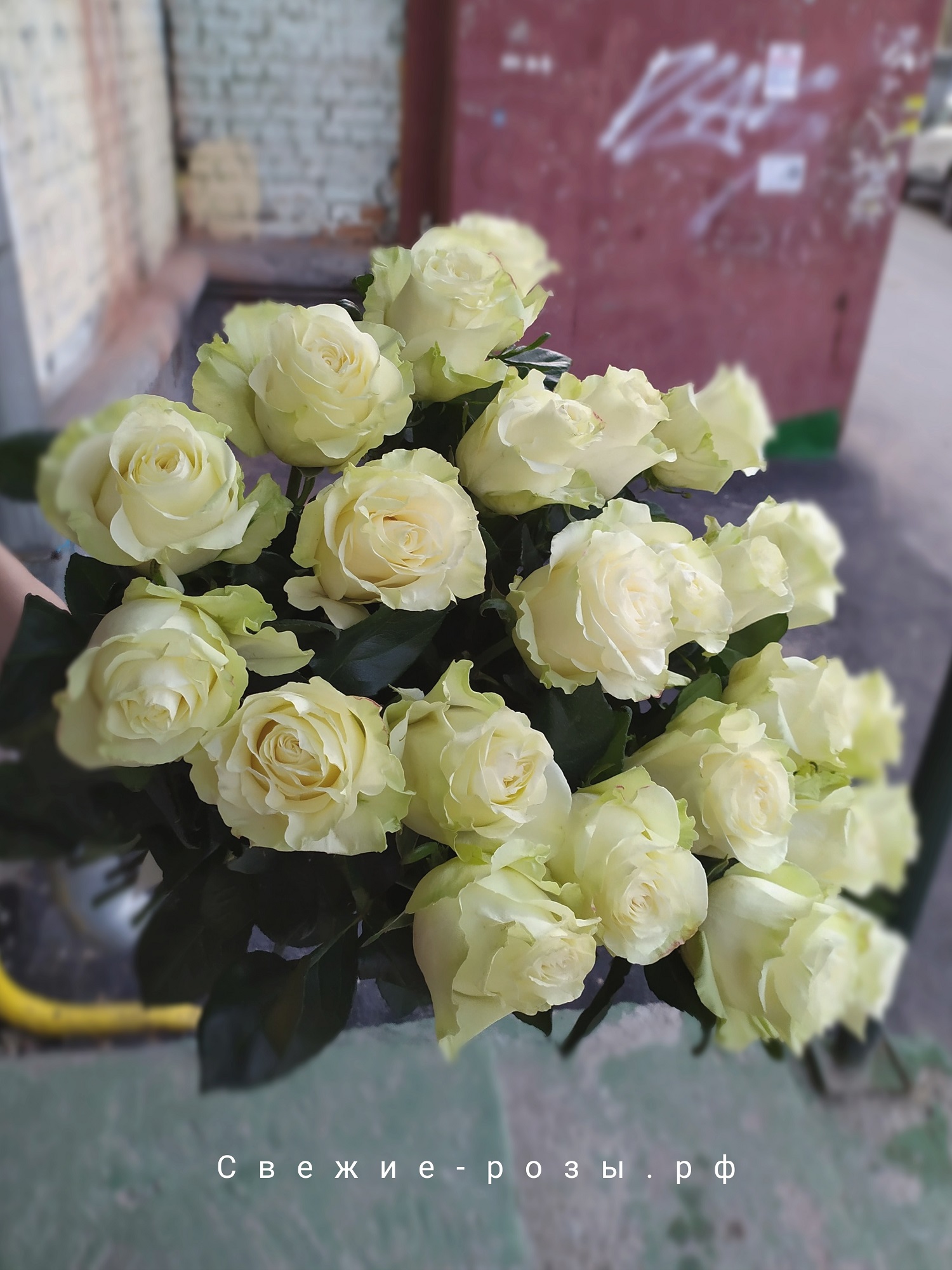 Свежие розы Пермь kupit svezhie belyie rozyi perm dostavka